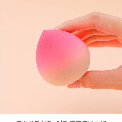 Reusable Beauty Sponge